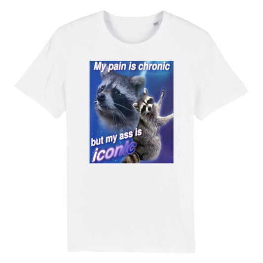 My Pain Is Chronic But My Ass Is Iconic Funny Raccoon Meme T-Shirt